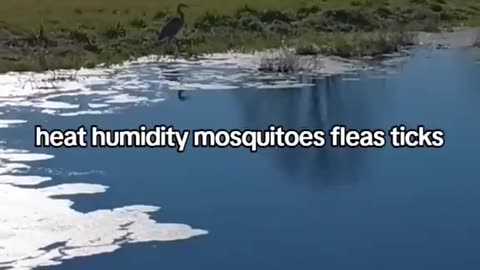 Message For Blue States