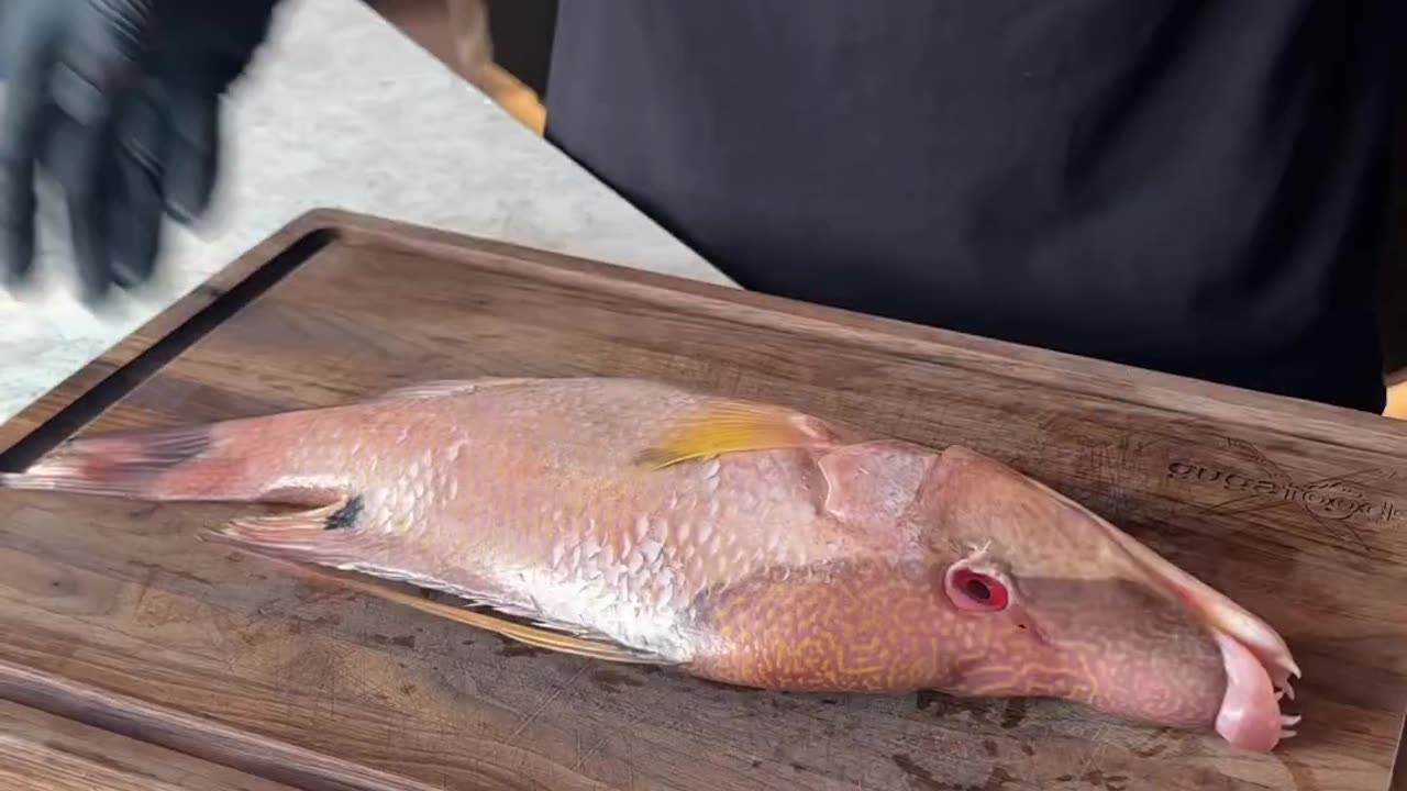 I Found Bacon in this Fish...