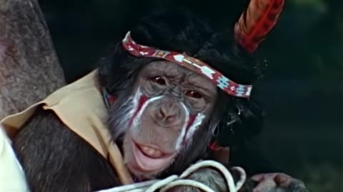1970 Lancelot Link, Secret Chimp S01E02 The Lone Ape/Missile Beach Party