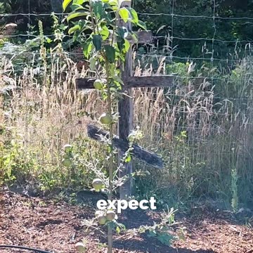 Expect Just Anything