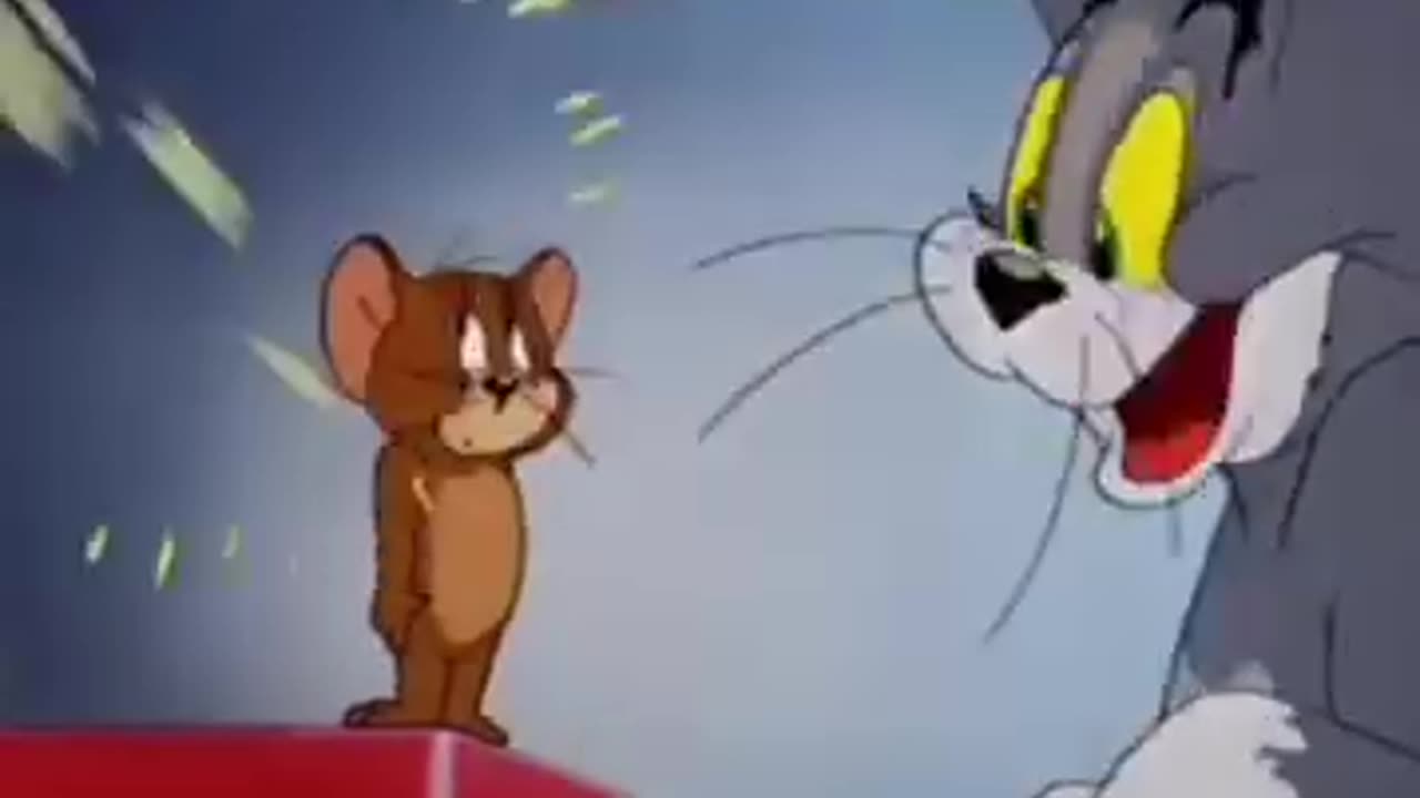 Tom and jarry funny vidieo