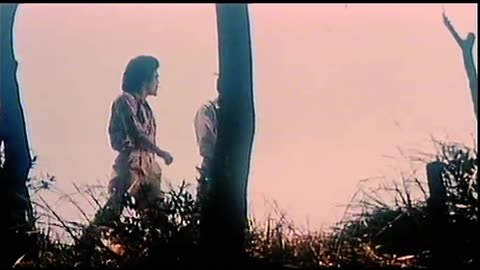 A Hard Way to Die (1979) Full movie | Martial arts