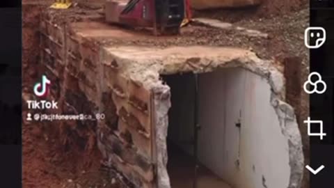 Why the swamp is crying