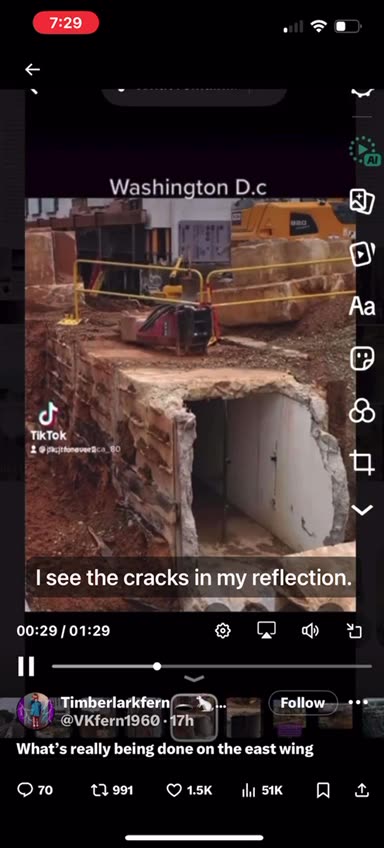 Why the swamp is crying