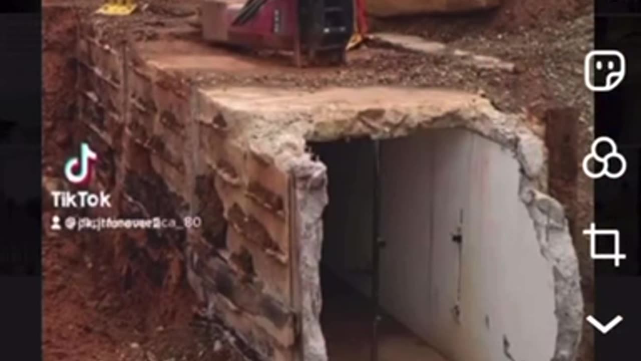 Why the swamp is crying