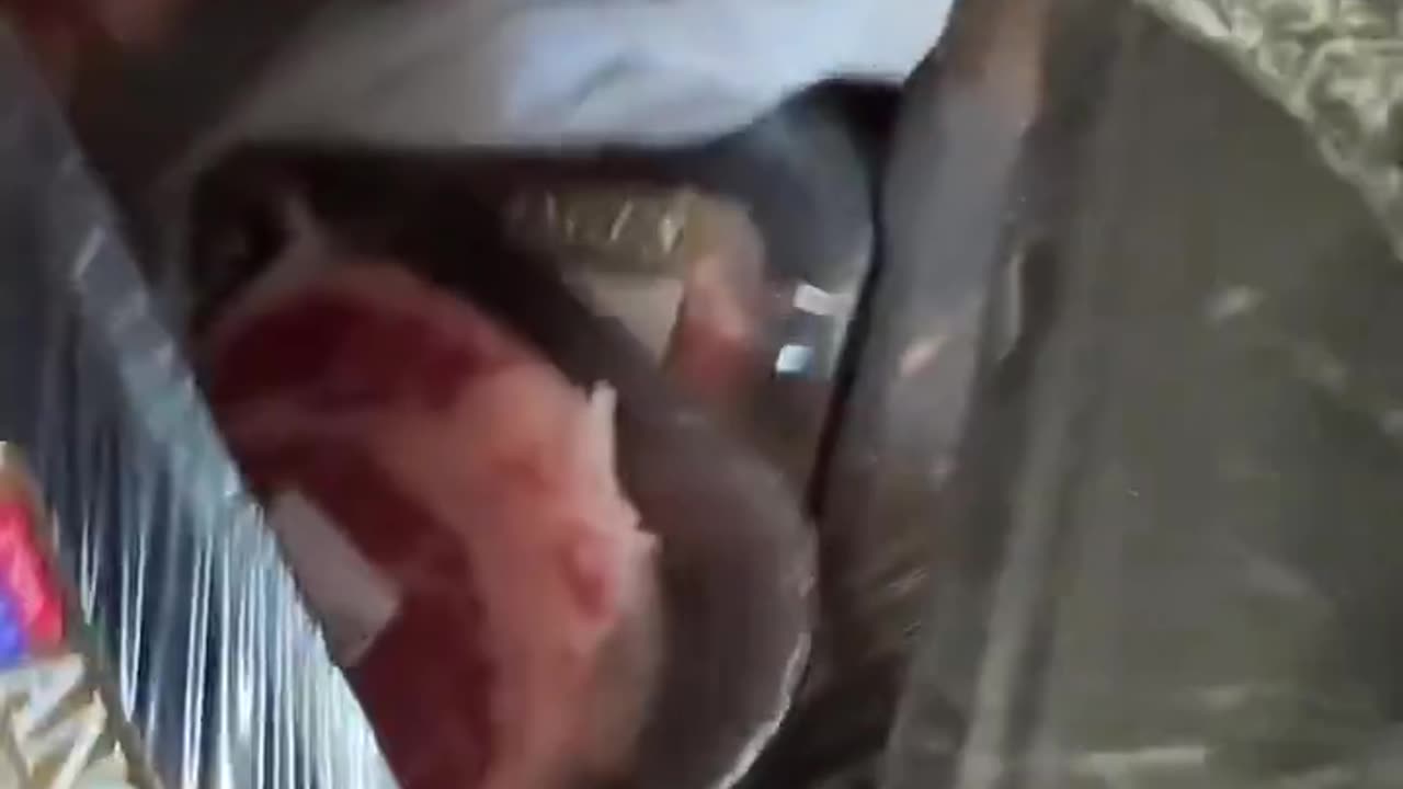 With the threat of EBT being shut down, joggers have begun posting looting videos on TikTok