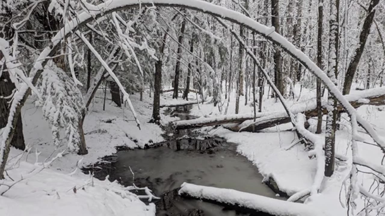 A very snowy April morning UpNorth