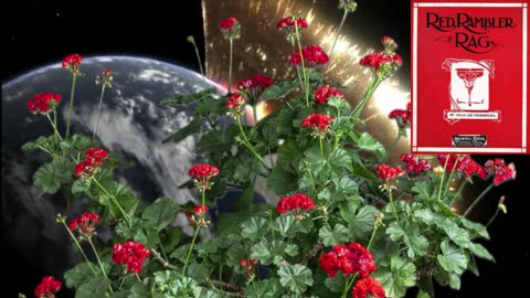 Red Rambler Rag (Two Step) by Julia Lee Niebergall 1914