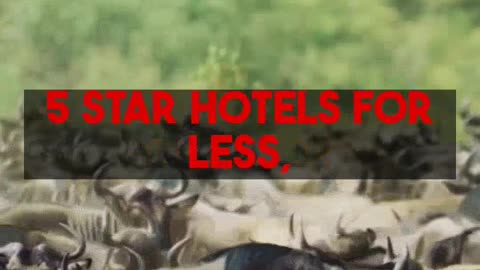 Protect Your Trip Avoid These TikTok Travel Pitfalls