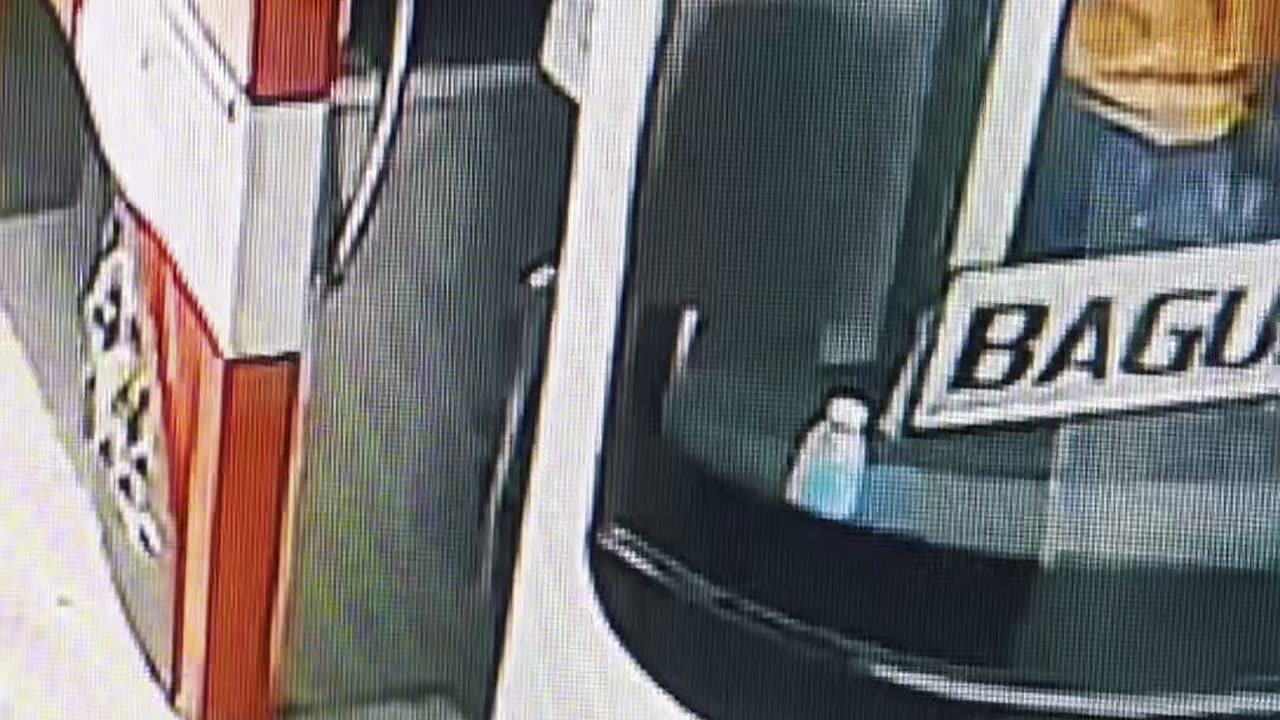 Cute little Kitten hopped on a bus bound for Baguio City alone