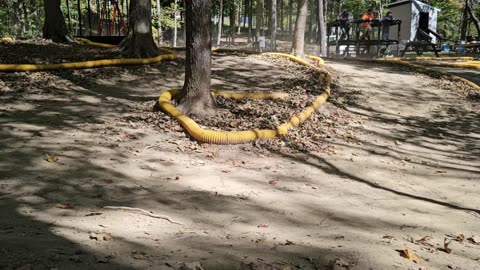 Track Run October 20th 2024