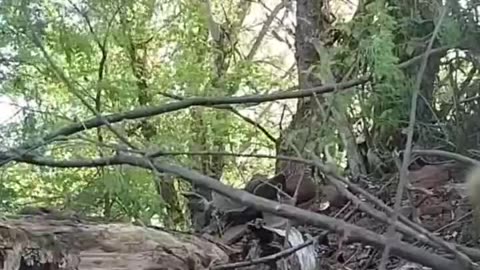 The result of the defense is disappointing for the enemy