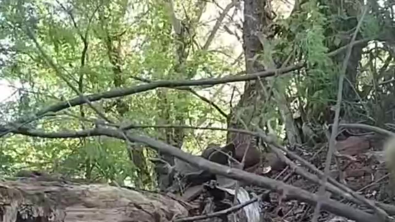 The result of the defense is disappointing for the enemy