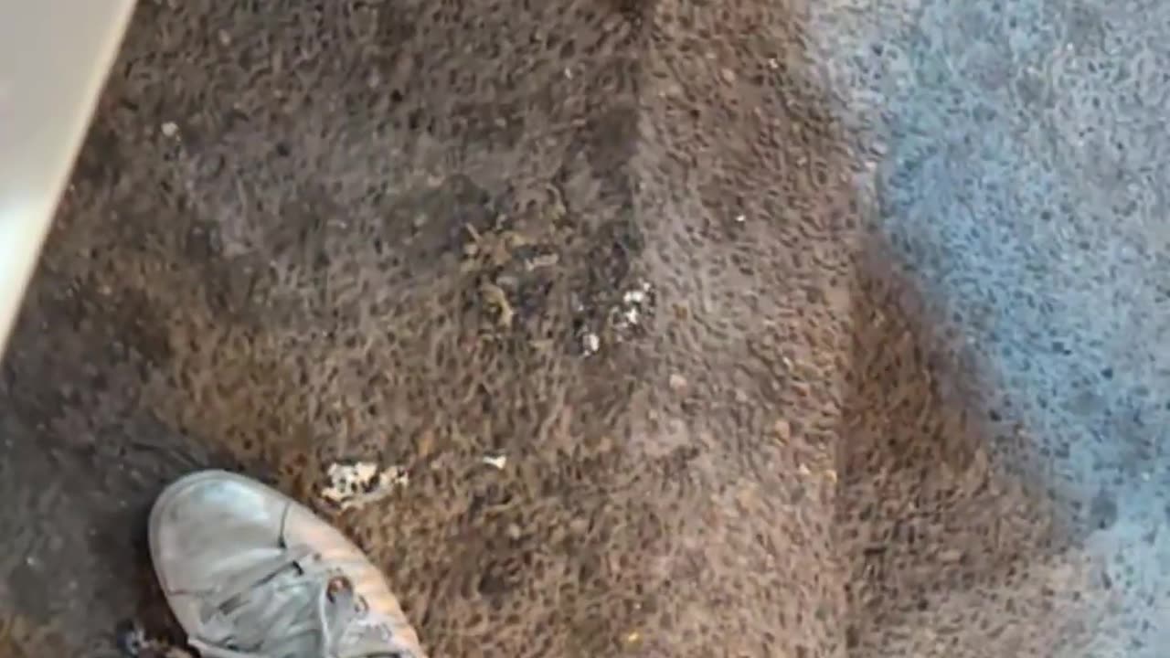 Diesel is live!-JNdsgiTsuvo