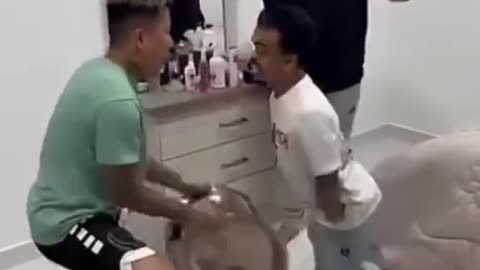 #shorts Dwarf traitor #funny