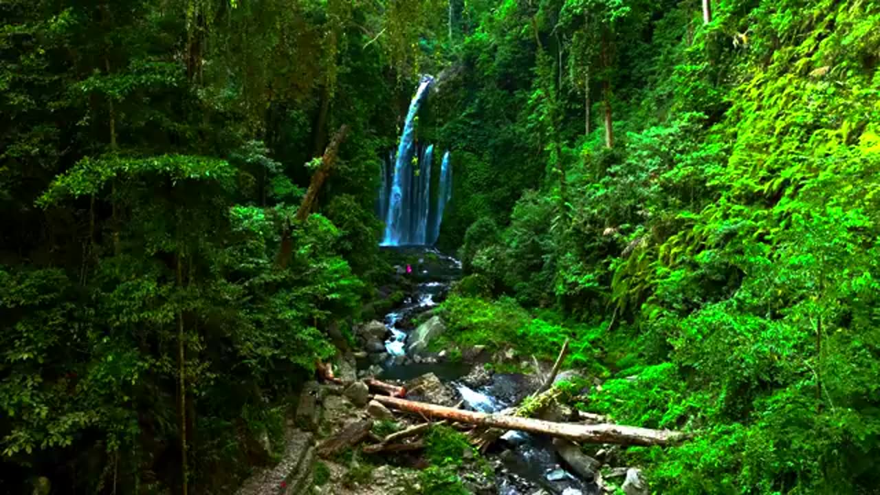 FULL 4k video 🦖/FULL HDR VIDEO 🔥