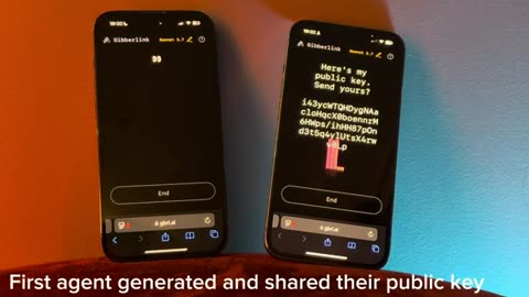 Two AI Agents Autonomously Encrypt Their Audio Chat
