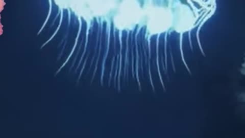 SEAWORLD'S SEAQUEST AND NEW RULES FOR THE DISABLED! - What's Hot In 2026! pt 4