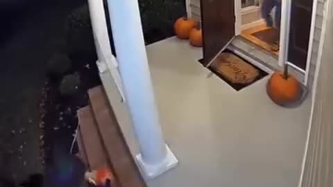 Ils voulaient des bonbons à la place, ils ont eu un chien araignée ! 🕷️"Des bonbons ou un sort !"