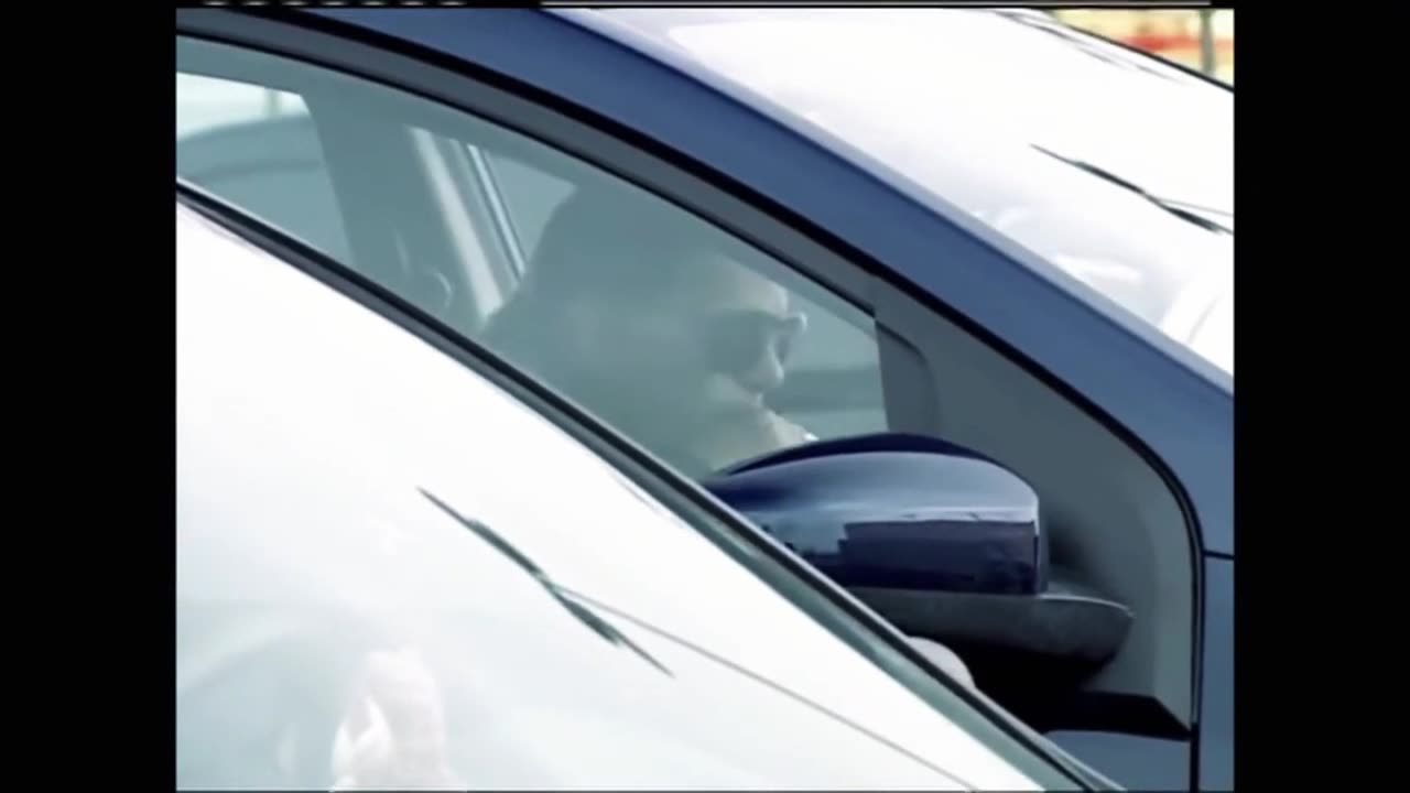 Os Mutantes Capitulo 131