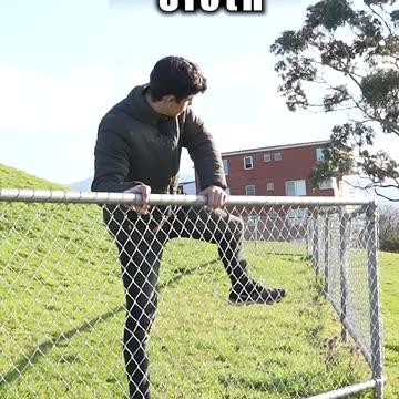 How Animals Conquer Fences! 🐶😂 Must-See Compilation!