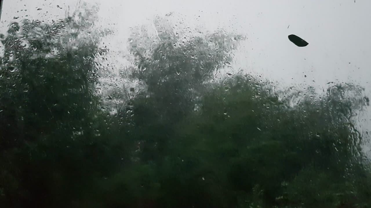 Furtuna la Vancicăuți 27 iulie 2025