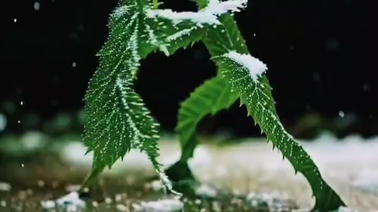 #Jay Shri Krishna Radhe Radhe 🙏 💐