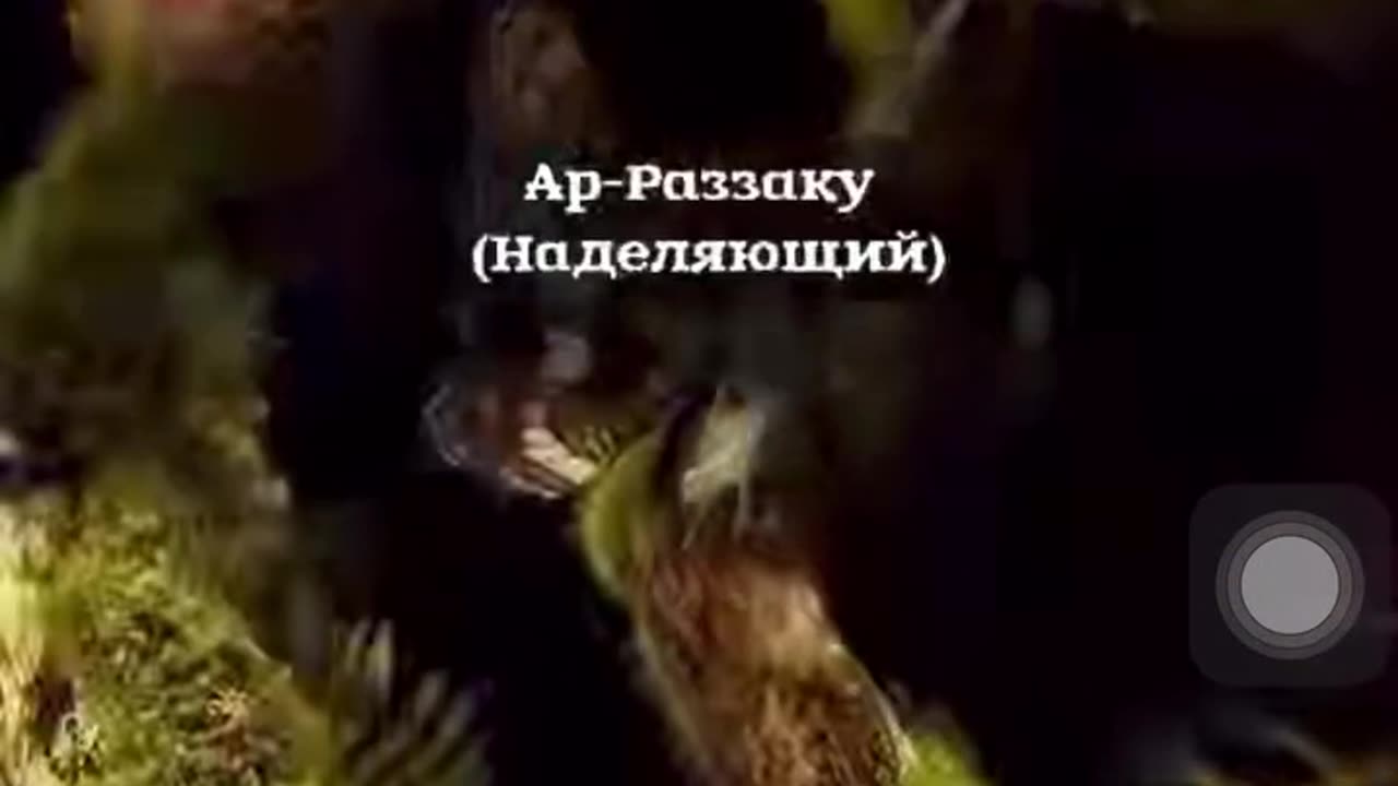 Каран истина