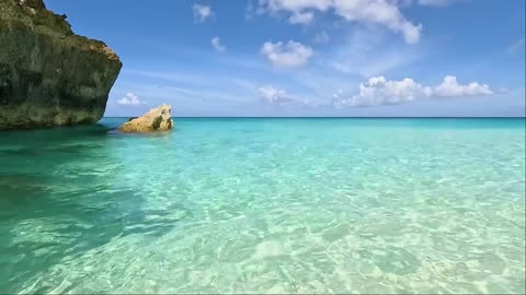 Crystal Clear Turtle Cove 🌊 Discover One of the World’s Most Pristine Waters