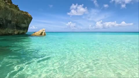 Crystal Clear Turtle Cove 🌊 Discover One of the World’s Most Pristine Waters