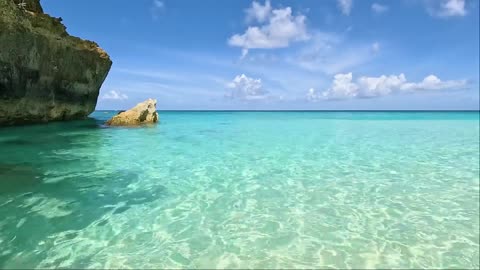 Crystal Clear Turtle Cove 🌊 Discover One of the World’s Most Pristine Waters