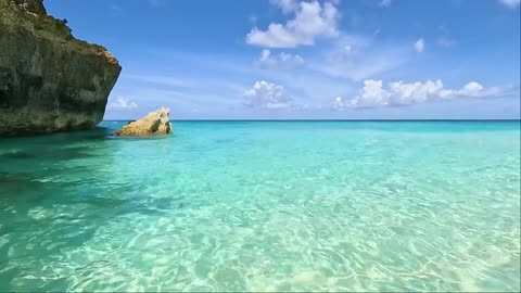 Crystal Clear Turtle Cove 🌊 Discover One of the World’s Most Pristine Waters