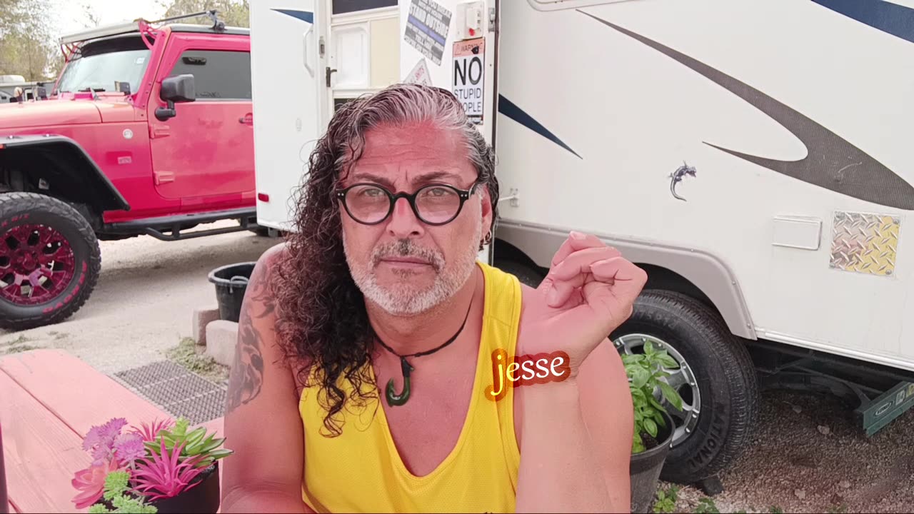 Narcissist Chronicles