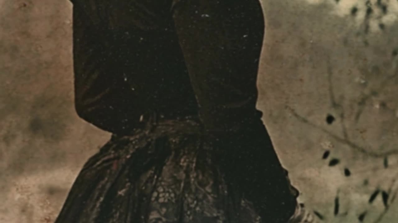 The Vanished Lady Mystery