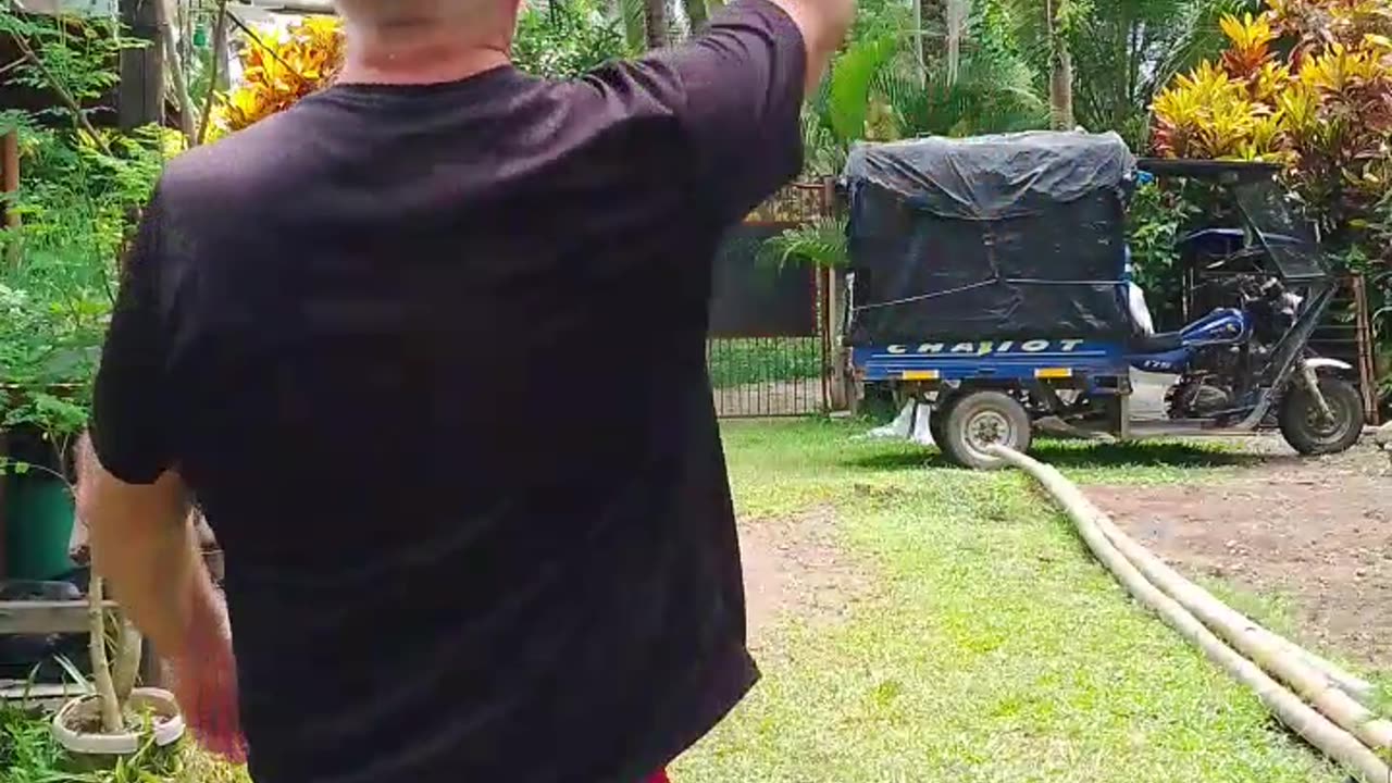Throw & Catch 🤣