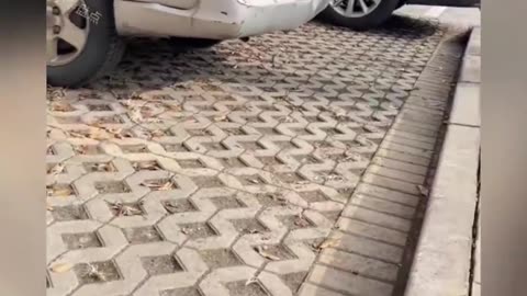 盘点来自捡到一百块的执着，这意力，没得说 #犟种 #意想不到 #专治不开心 #看一遍笑一遍 #搞笑