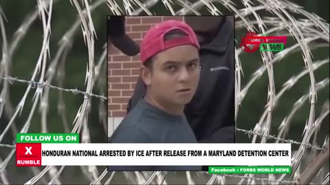 ICE makes a crucial arrest once again