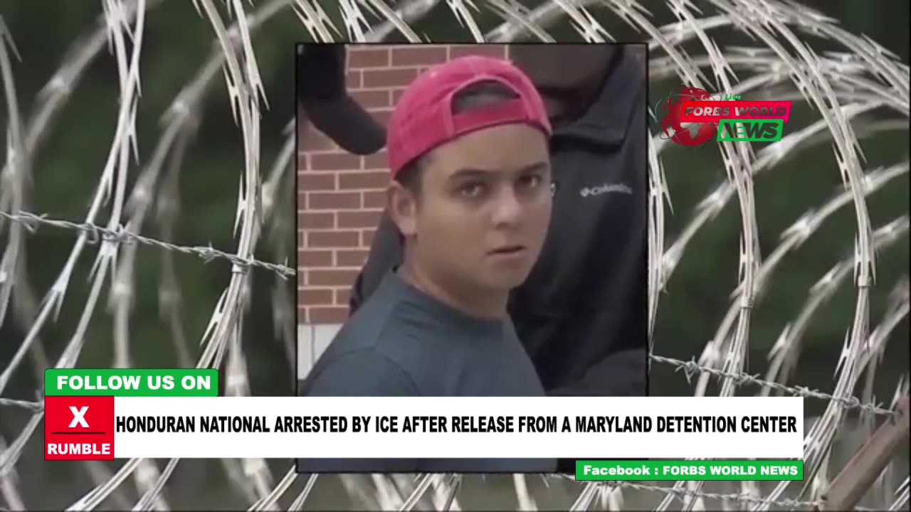 ICE makes a crucial arrest once again