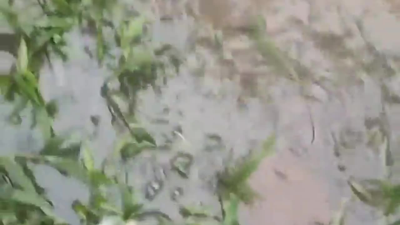 😂🌊 Wait For The Splash! Dipping Foot In A Puddle | FunFM