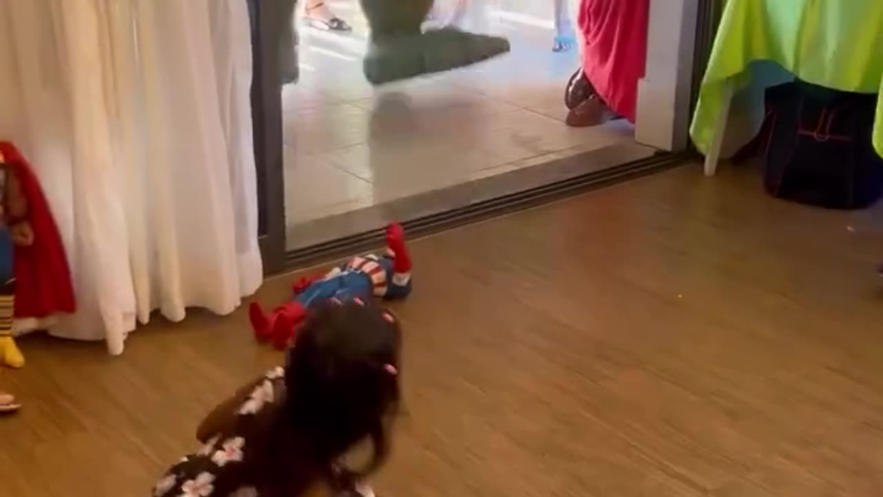 I have never laughed like this in my whole life 🤣😂