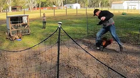 People VS. Rooster