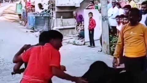 Funny video