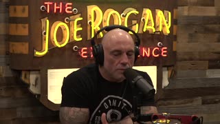 The Joe Rogan Experience | Brandon Epstein (2364)