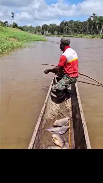 Amazing Tilapia Archery! One Shot, One Fish!