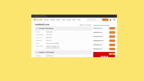 PART 9. Coordinated Domain Network | How Intellisoft Fraud Ties to RICO and Corporate Negligence