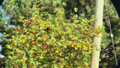 Repent, Repent for death and destruction is coming.