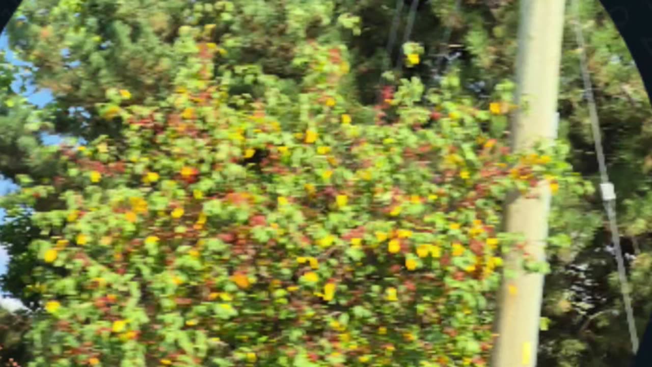 Repent, Repent for death and destruction is coming.