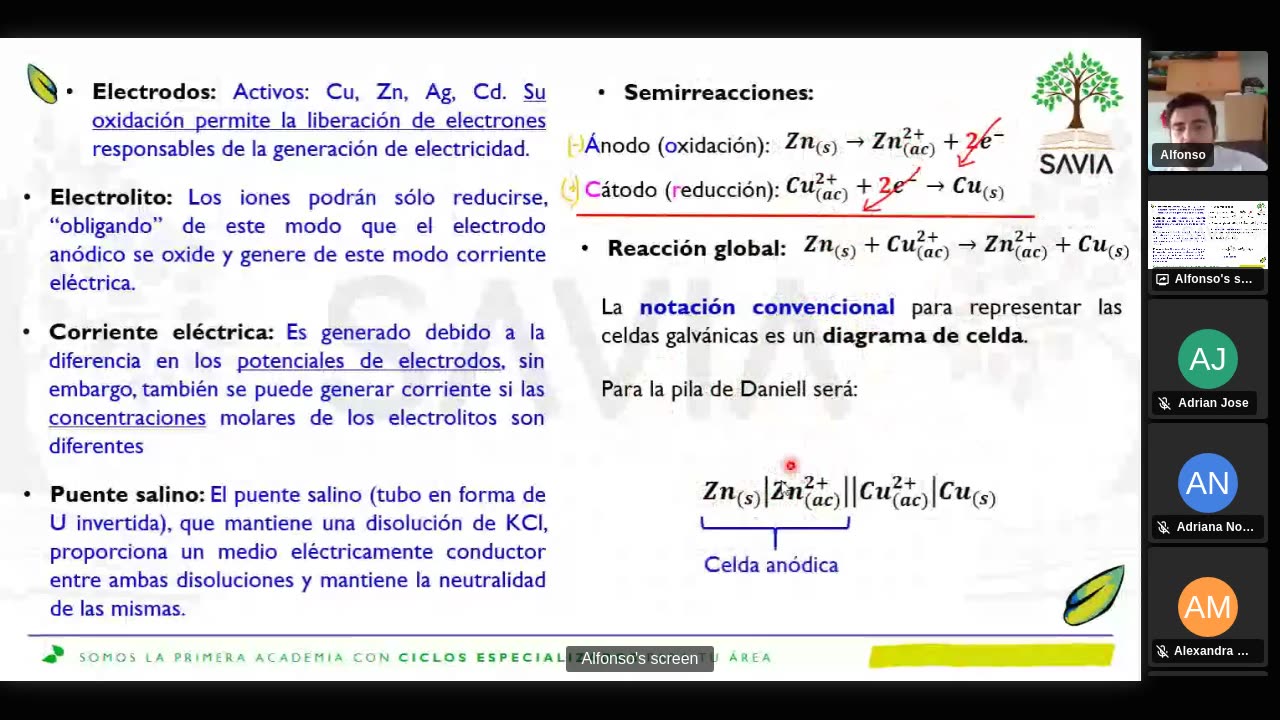 SAVIA SEMIANUAL 2024 | Semana 14 | Química S1