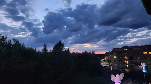 Wiesiorynka nocna 33
