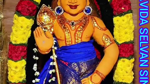 ஆயிரம் பாட்டு எழுதி முருகா TMS LEGEND M.THIRAVIDA SELVAN SINGAPORE TMS FANS 2025